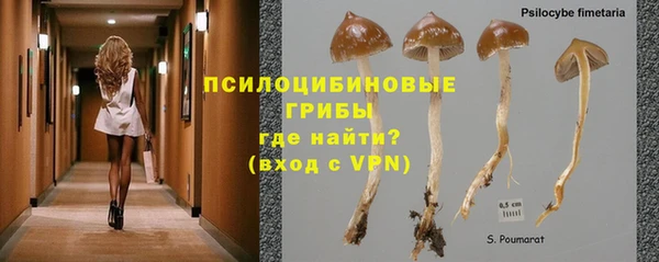 2c-b Алексин