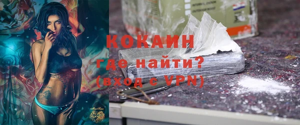 прущие грибы Абаза