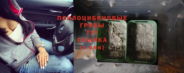 2c-b Алексин